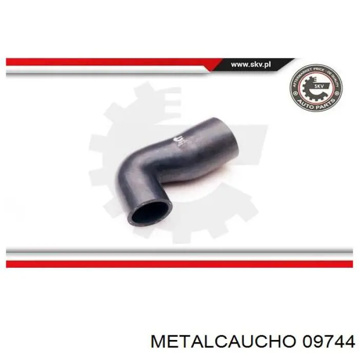 09744 Metalcaucho