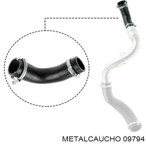 09794 Metalcaucho