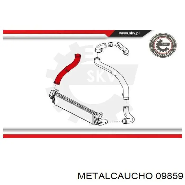 Правый шланг интеркуллера 09859 Metalcaucho