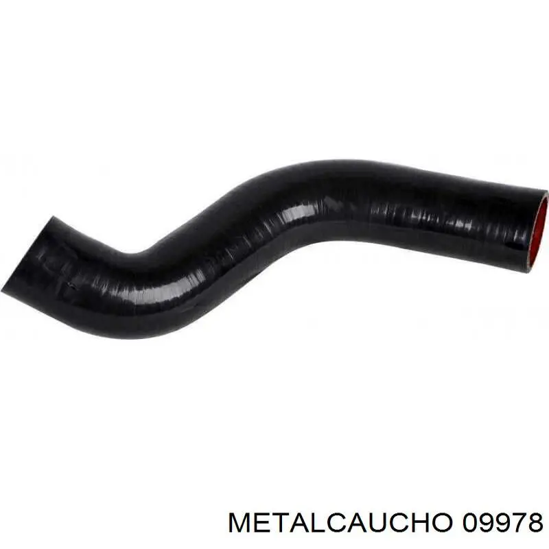 Купить 8200824797 Renault (RVI) Патрубок интеркулера