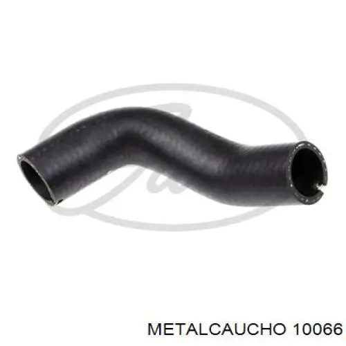 10066 Metalcaucho