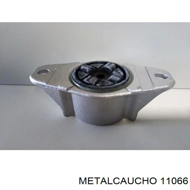 11066 Metalcaucho