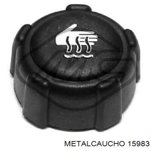  15983 Metalcaucho