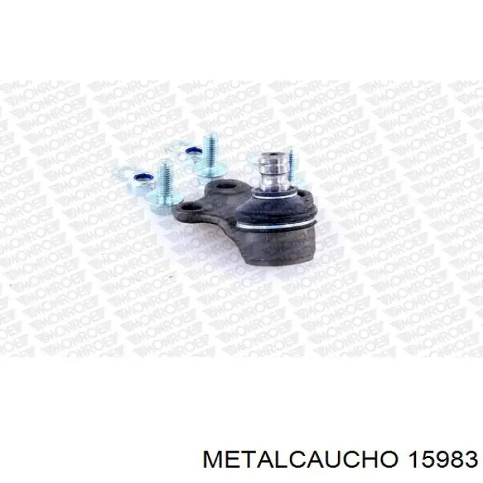 DWX232TT Thermotec Патрубок радиатора охлаждения нижний