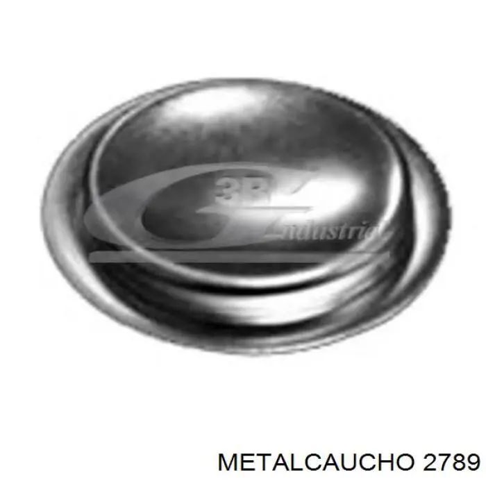 Заглушка блока цилиндров Fiat/Alfa/Lancia 5978913