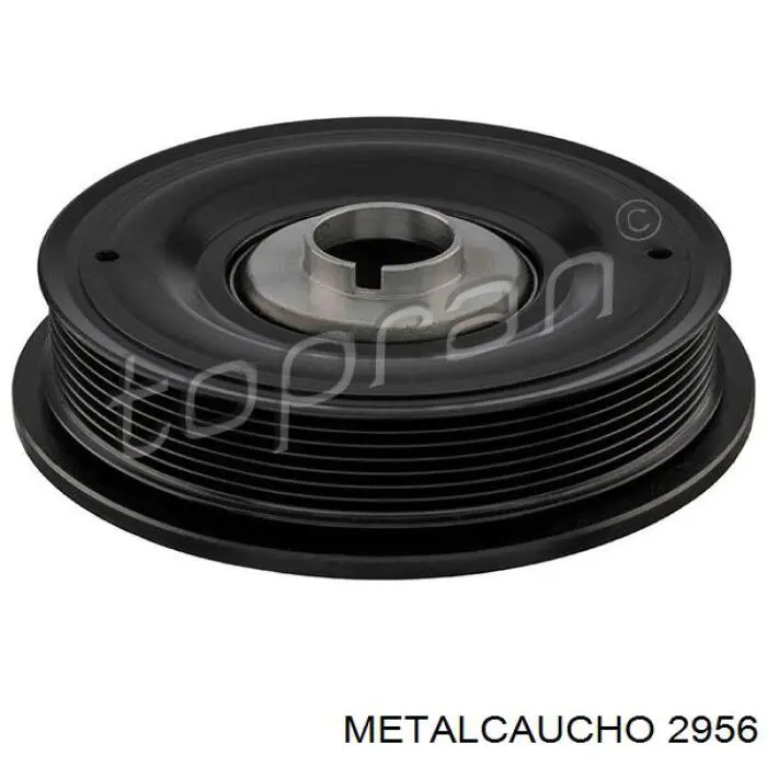 Купить 2956 Metalcaucho Амортизационная стойка