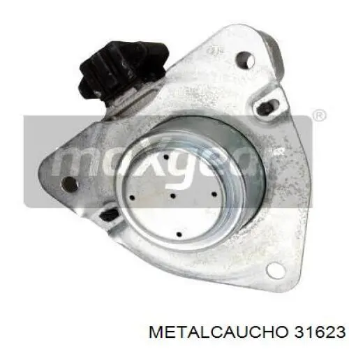 31623 Metalcaucho