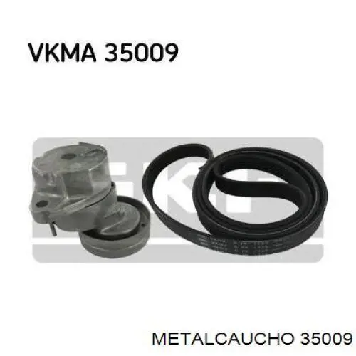 35009 Metalcaucho