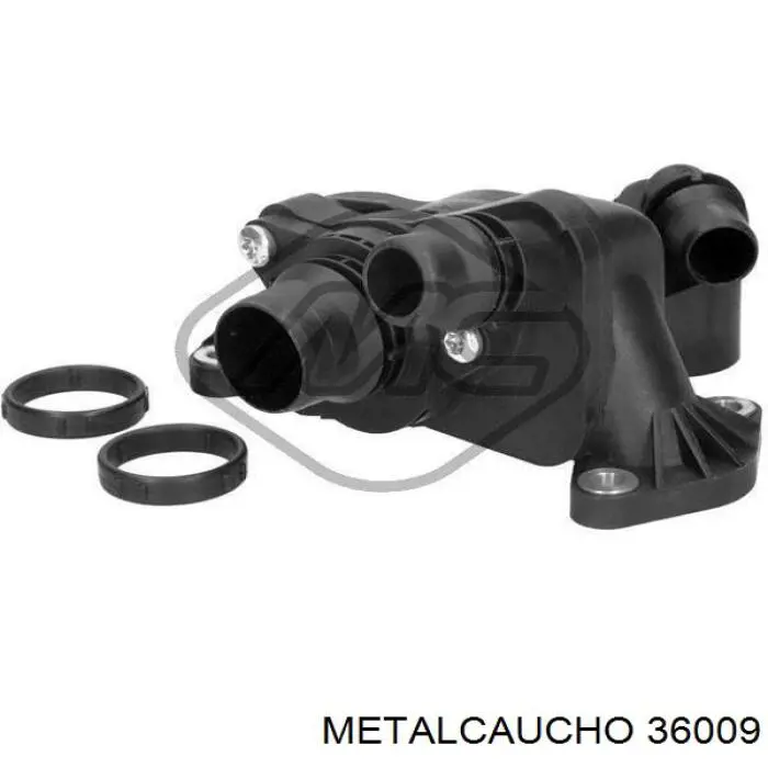 36009 Metalcaucho