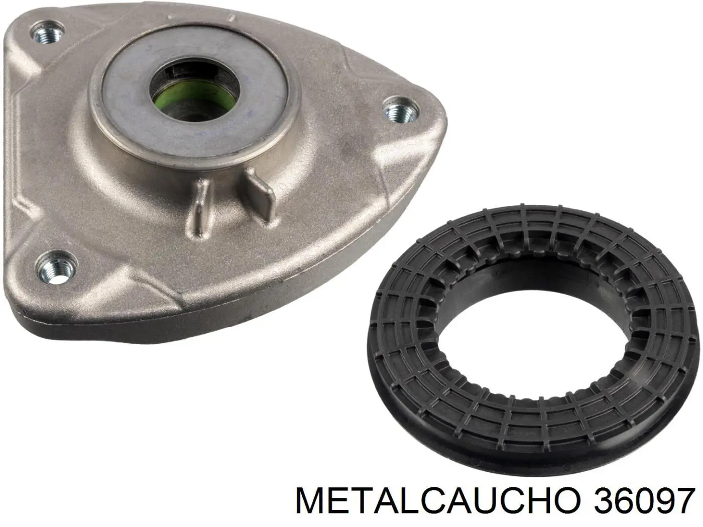  36097 Metalcaucho