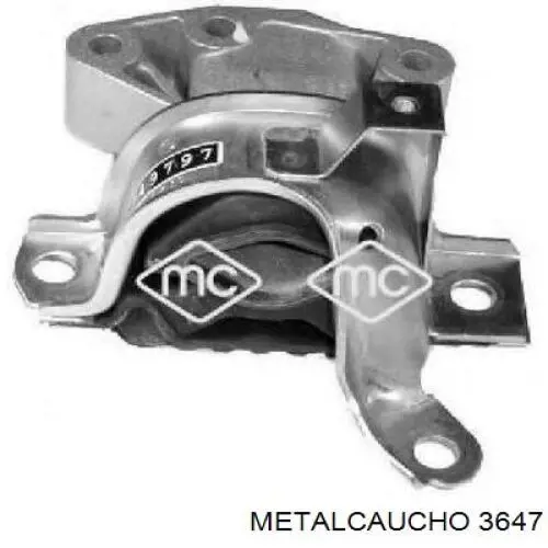 Бачок системы охлаждения 3647 Metalcaucho