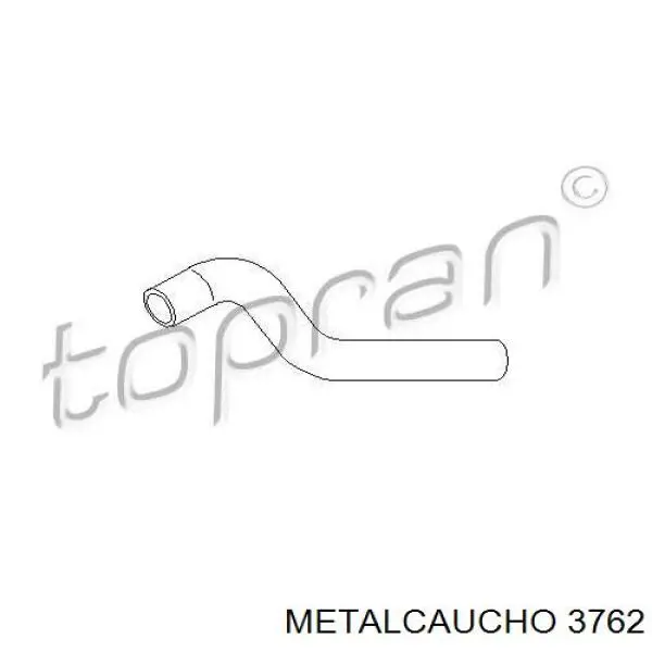  3762 Metalcaucho