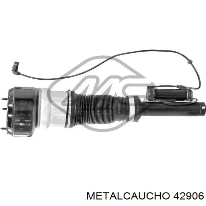  42906 Metalcaucho