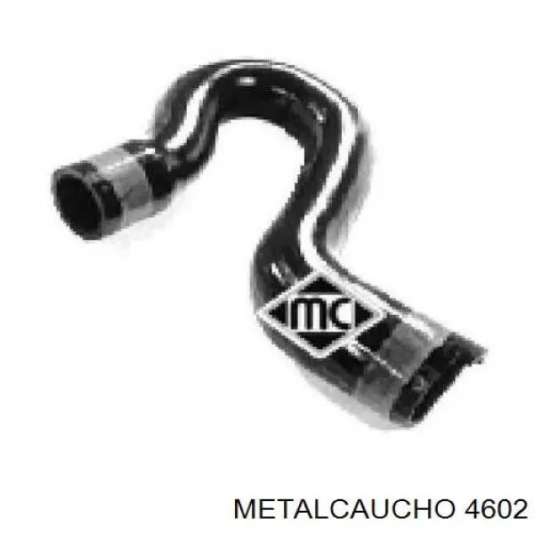  4602 Metalcaucho