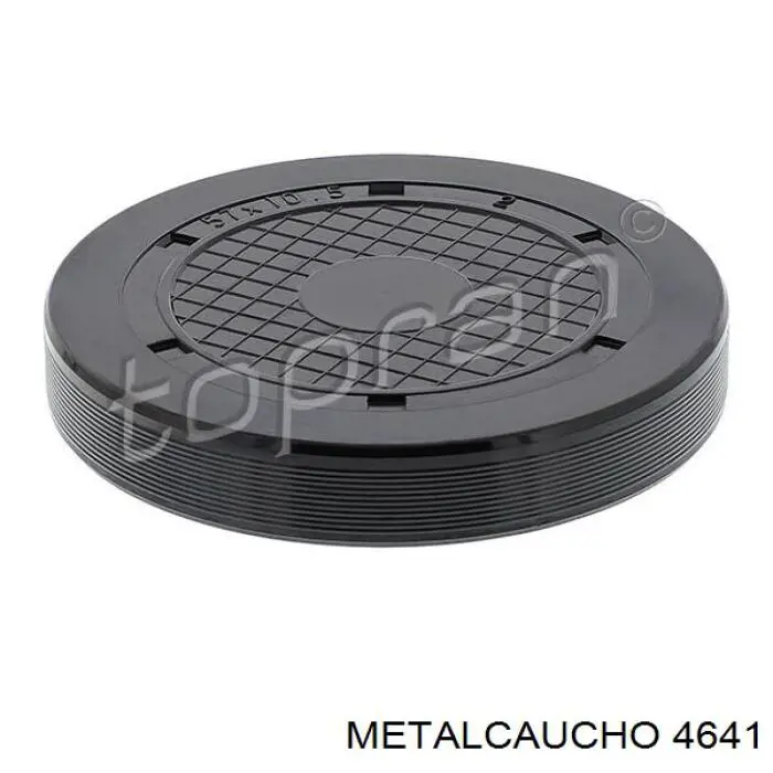 Заглушка ГБЦ 8200058019 Renault (RVI)