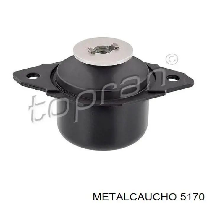 5170 Metalcaucho щуп (индикатор уровня масла в двигателе)