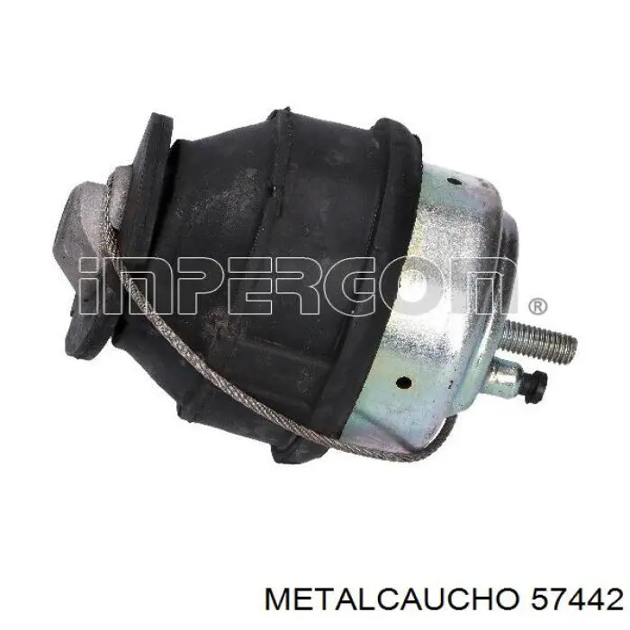 57442 Metalcaucho