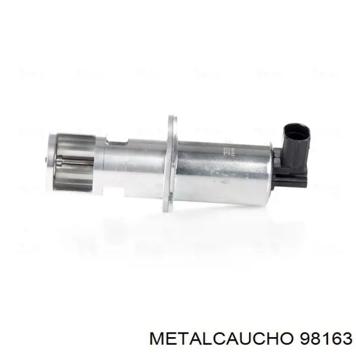  98163 Metalcaucho