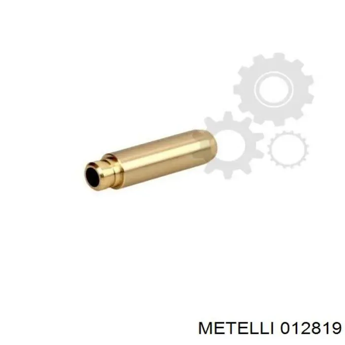 012819 Metelli