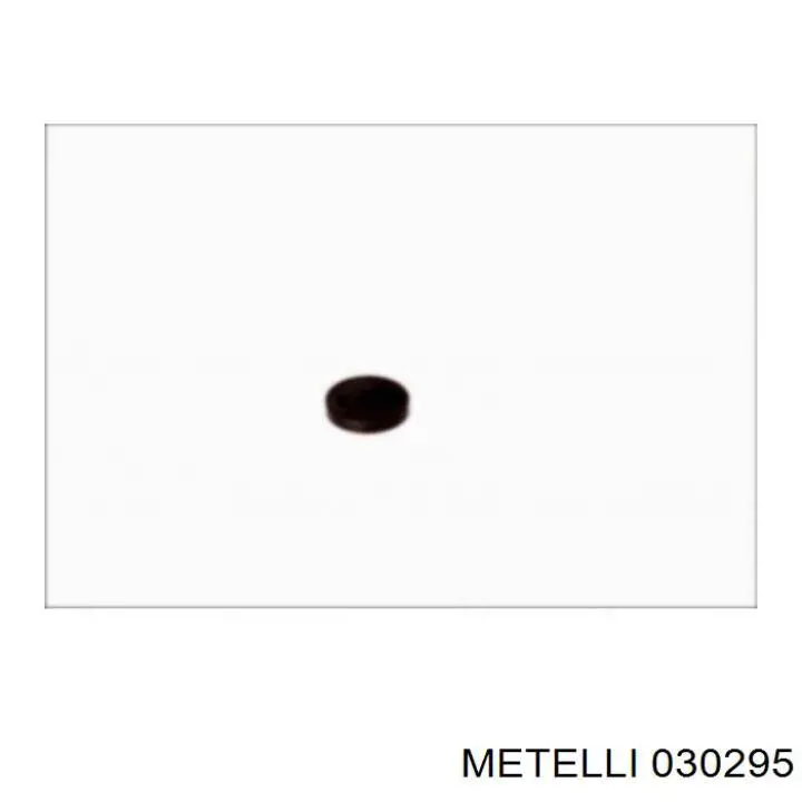  030295 Metelli