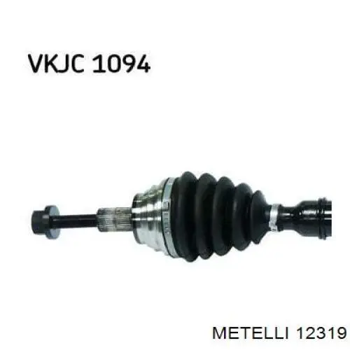 12319 Metelli