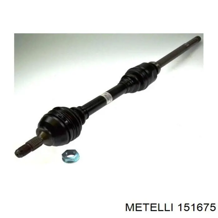 151675 Metelli