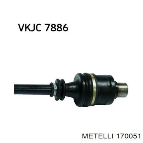 170051 Metelli