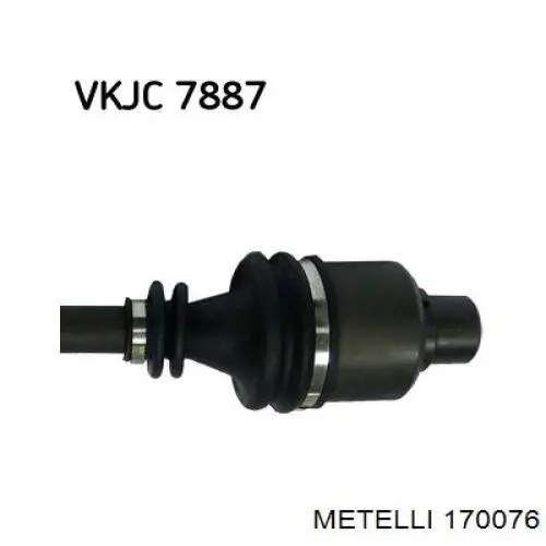 170076 Metelli