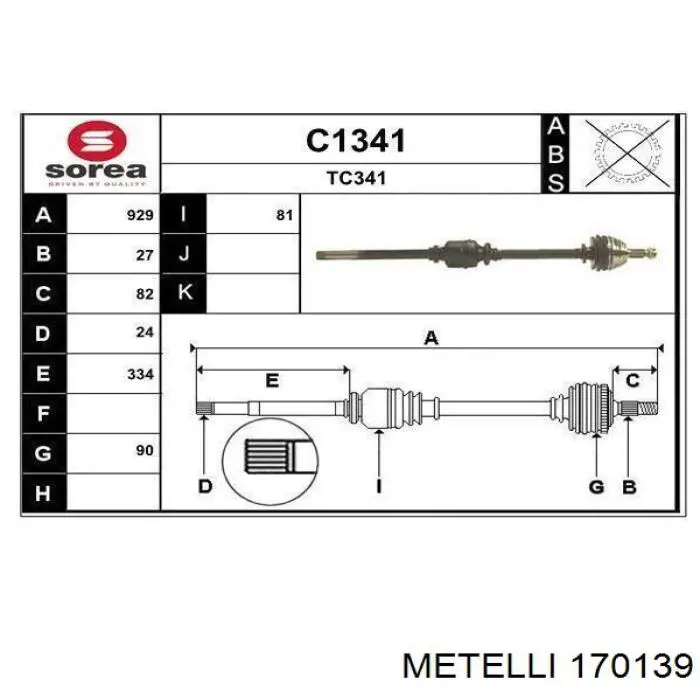 170139 Metelli