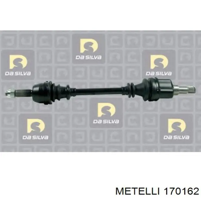 170162 Metelli