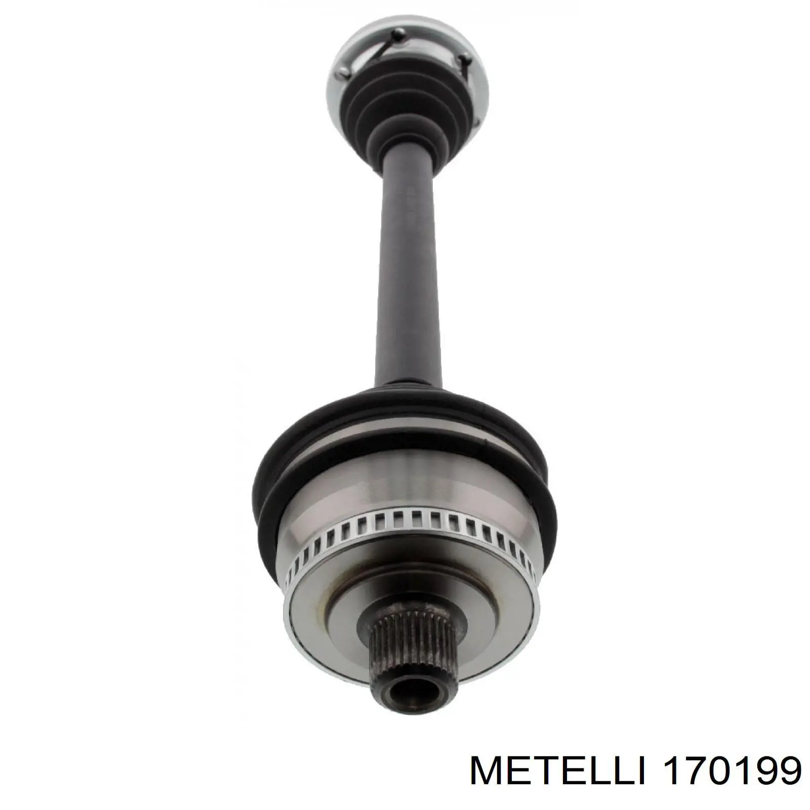 170199 Metelli