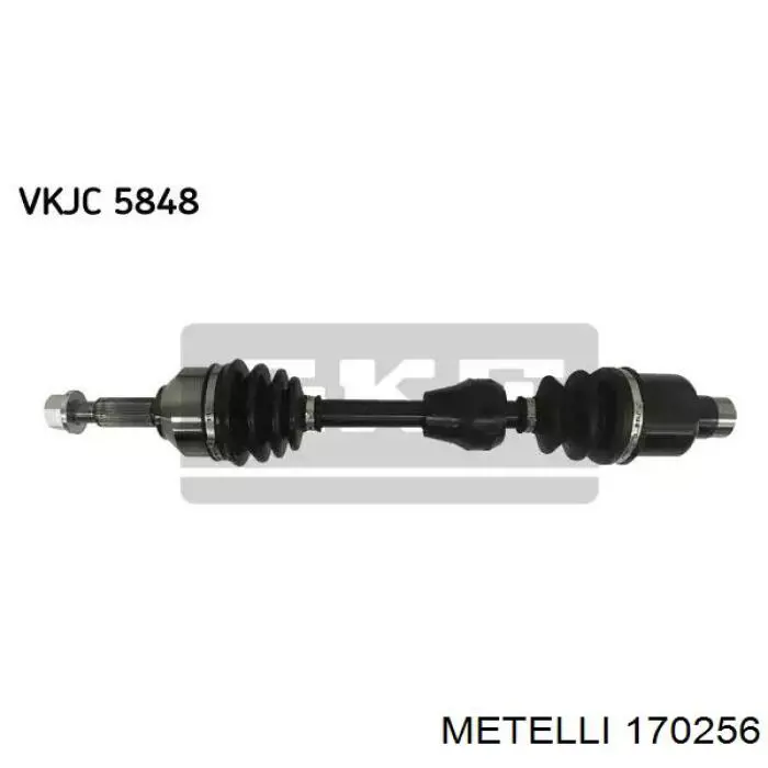 170256 Metelli