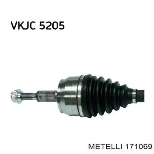 171069 Metelli 