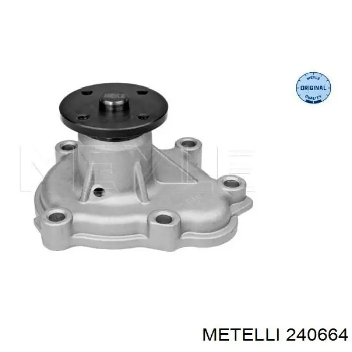 240664 Metelli