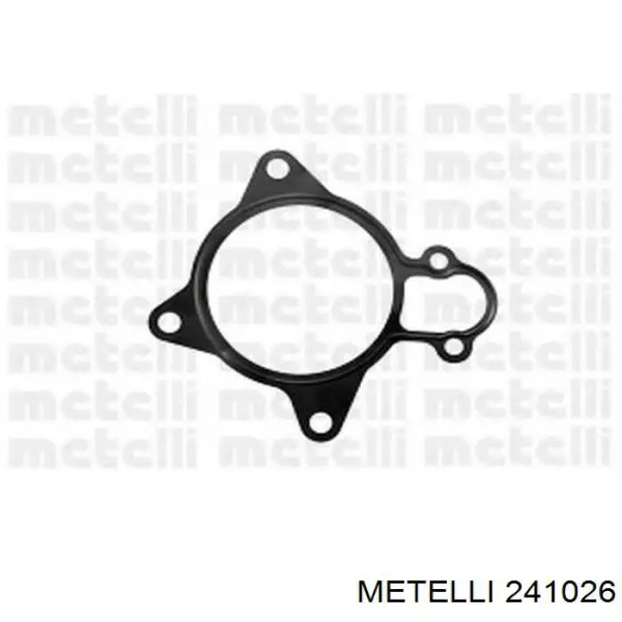 241026 Metelli