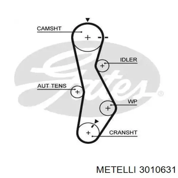 Ремень ГРМ, комплект Metelli 3010631