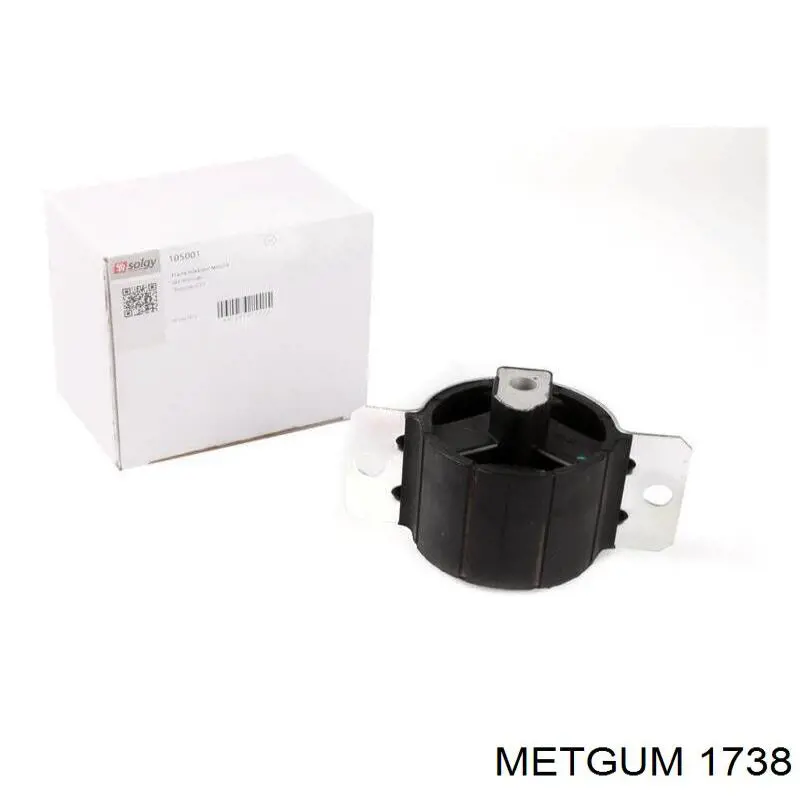 1738 Metgum