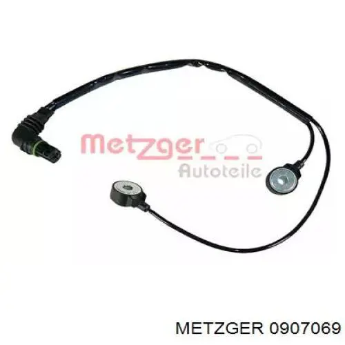 0907069 Metzger