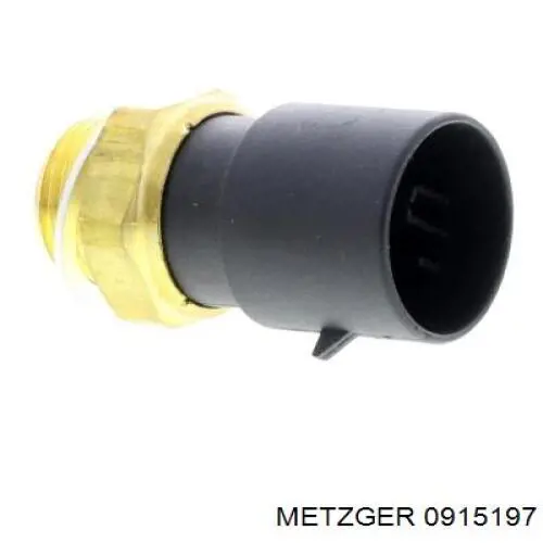 0915197 Metzger