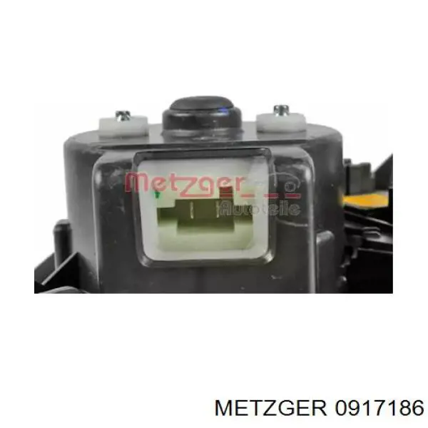 0917186 Metzger 