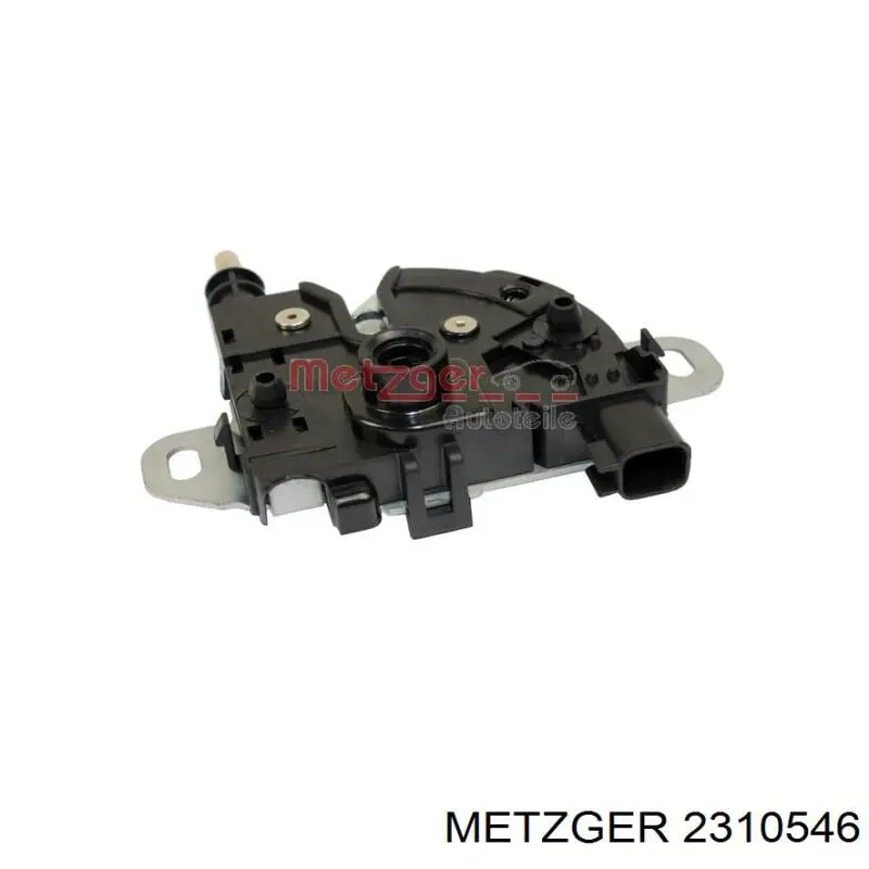 2310546 Metzger
