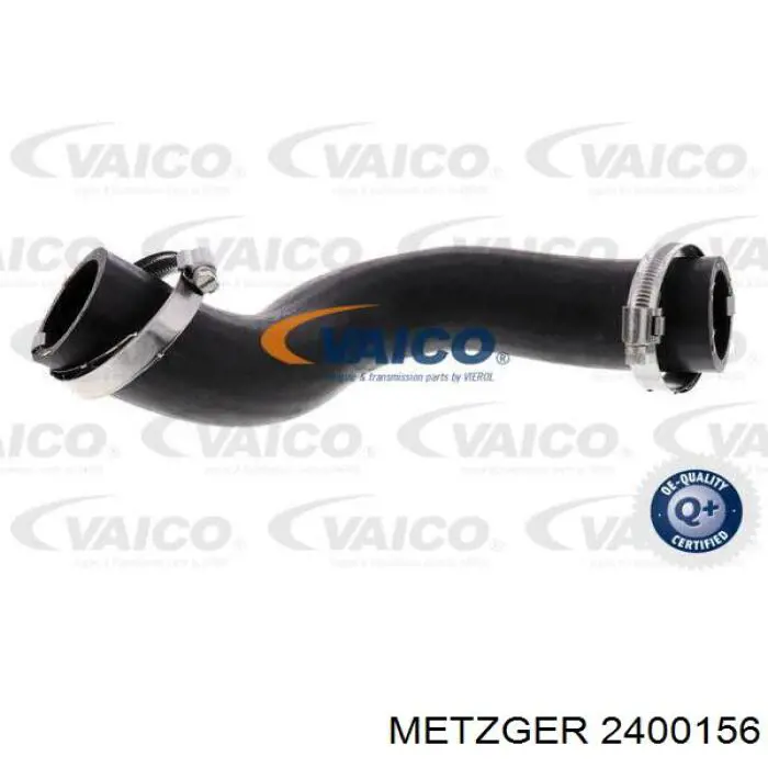 2400156 Metzger mangueira (cano derivado direita de intercooler)