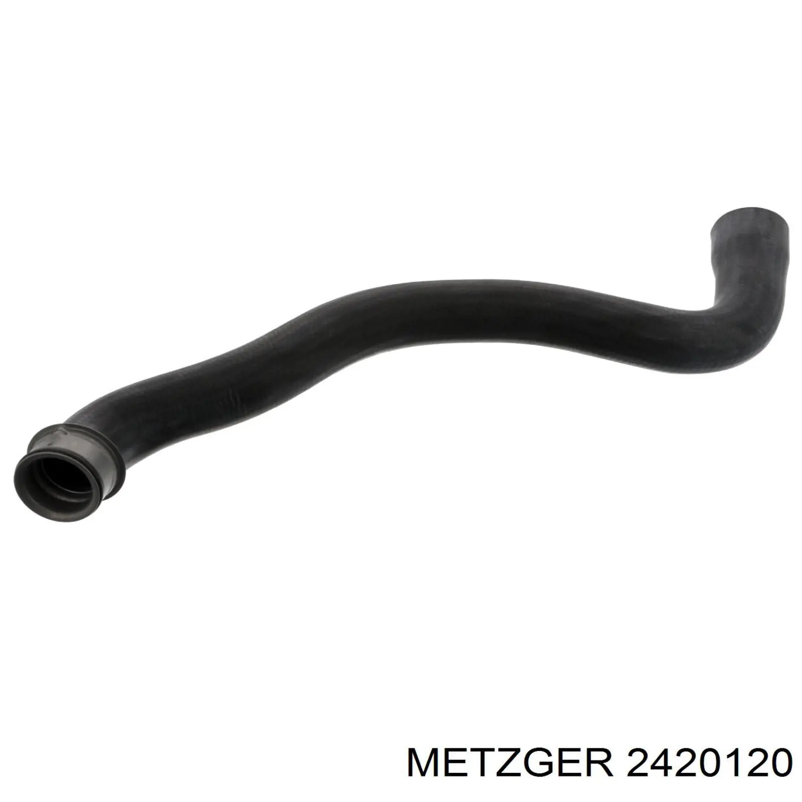 Шланг (патрубок) радиатора охлаждения нижний Metzger 2420120