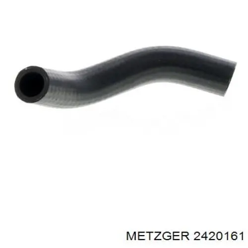  2420161 Metzger