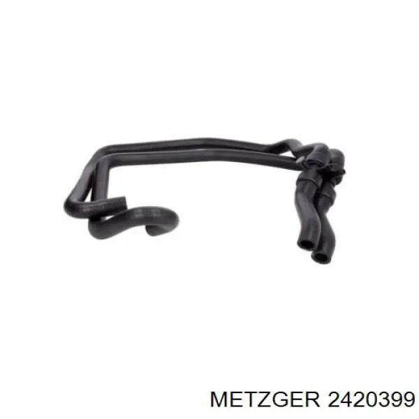 2420399 Metzger