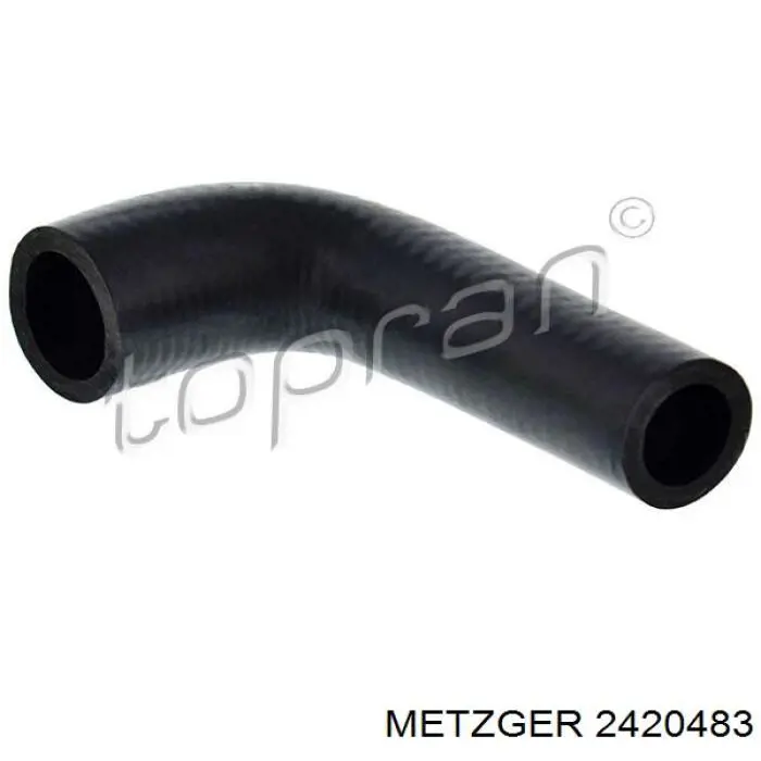 2420483 Metzger