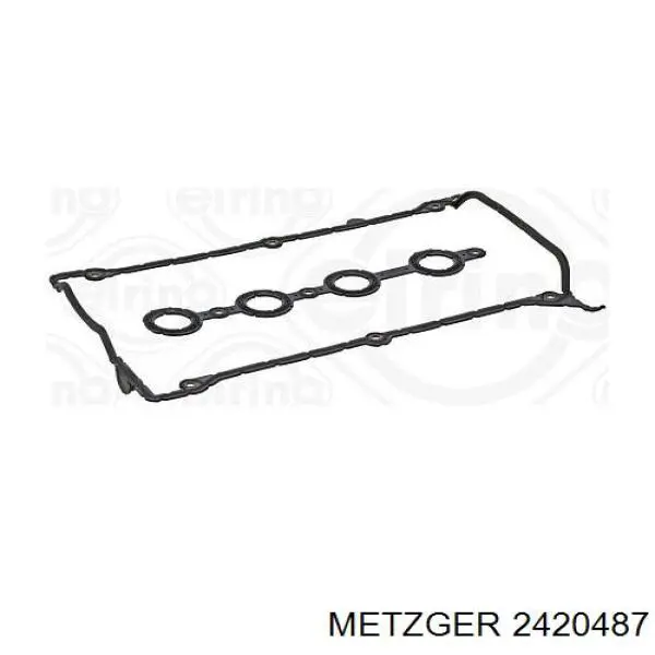 2420487 Metzger mangueira (cano derivado do sistema de esfriamento)