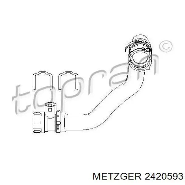 Нижний шлаг радиатора охлаждения 2420593 Metzger