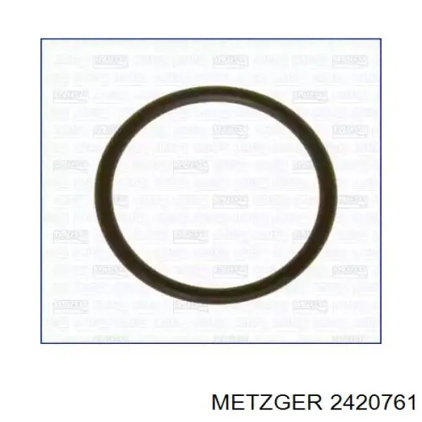 Шланг (патрубок) радиатора охлаждения нижний Metzger 2420761