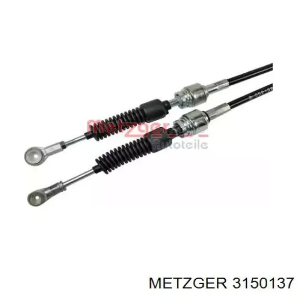  3150137 Metzger